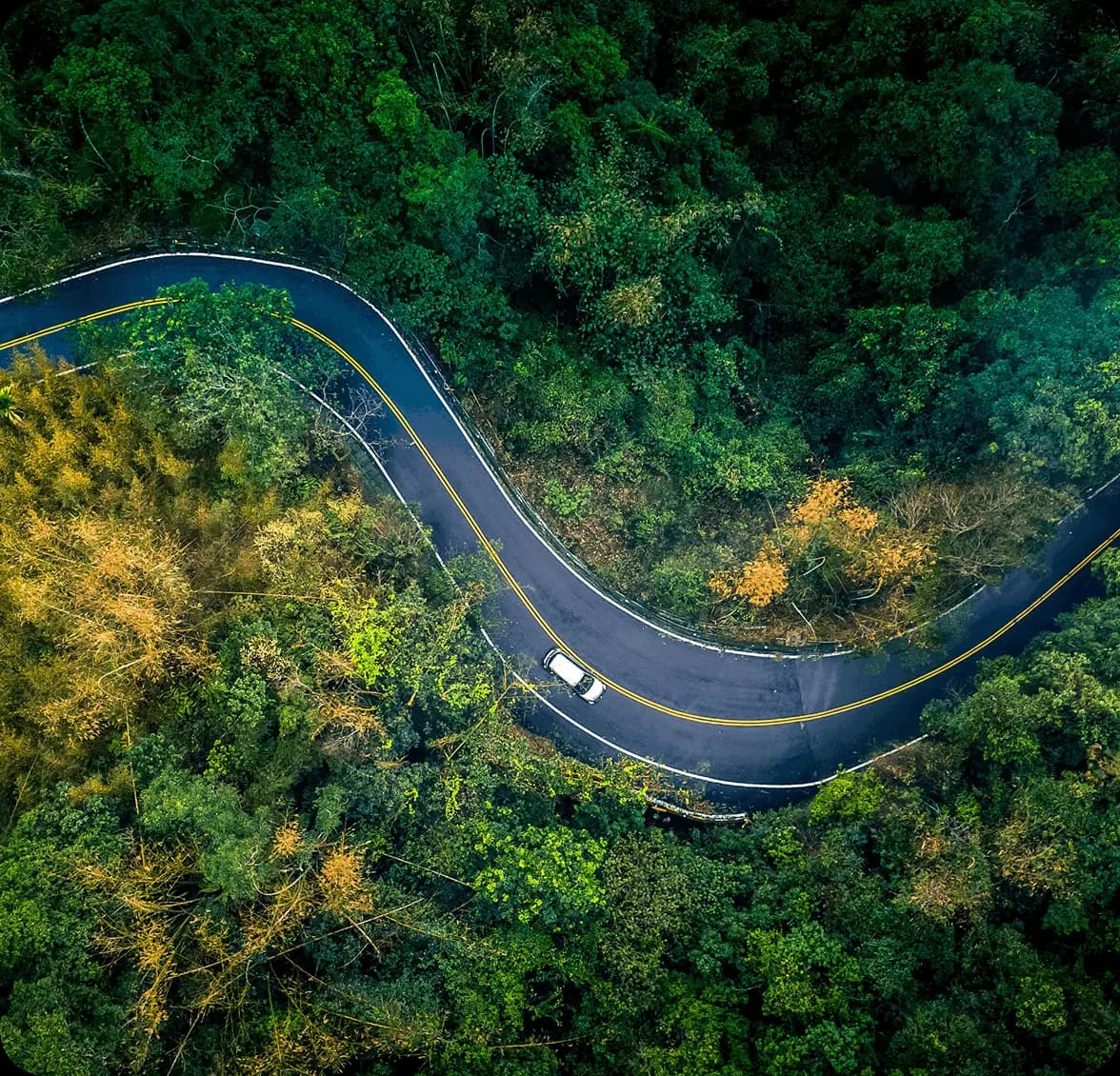 Famille dans une voiture